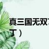 真三國無雙7中文補丁（真三國無雙7日語補丁）