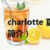 charlotte 夏洛特（關于charlotte 夏洛特的簡介）