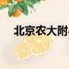 北京農大附小招生簡章（北京農大附小）