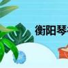 衡陽琴行有哪幾家（衡陽琴行）