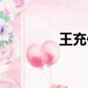 王充傳重點實詞（王充傳）