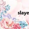 slayer（關于slayer的簡介）