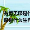 有勇無謀是什么生肖百度找最佳答案（有勇無謀是什么生肖）