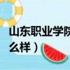 山東職業學院怎么樣好不好（山東職業學院怎么樣）