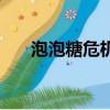 泡泡糖危機（關于泡泡糖危機的簡介）