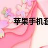 蘋果手機套子圖片大全（蘋果手機套）