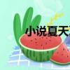 小說夏天夏星星辰（夏天夏星星辰）