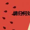 情歸何處（關于情歸何處的簡介）