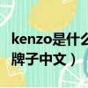 kenzo是什么牌子中文叫什么（kenzo是什么牌子中文）
