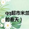 qq超市米蘭的春天3口碑擺法（qq超市米蘭的春天）