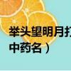 舉頭望明月打一中藥名答案（舉頭望明月打一中藥名）