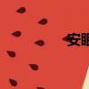 安眠（關于安眠的簡介）