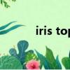 iris top（關于iris top的簡介）