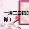 一清二白指的是什么生肖（一清二楚是什么生肖）