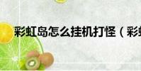 彩虹島怎么掛機打怪(彩虹島掛機路線)