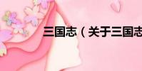 三國志(關于三國志的簡介)