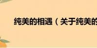純美的相遇(關于純美的相遇的簡介)