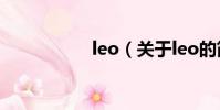 leo(關于leo的簡介)