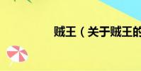 賊王(關于賊王的簡介)