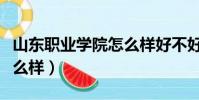 山東職業學院怎么樣好不好(山東職業學院怎么樣)