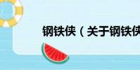 鋼鐵俠(關于鋼鐵俠的簡介)