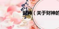 財神(關于財神的簡介)