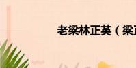 老梁林正英(梁正英)