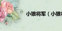 小狼將軍(小狼將軍)