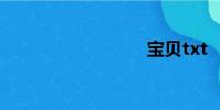 寶貝txt
