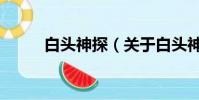 白頭神探(關于白頭神探的簡介)