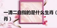 一清二白指的是什么生肖(一清二楚是什么生肖)