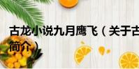 古龍小說九月鷹飛(關于古龍小說九月鷹飛的簡介)