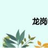 龍崗電大全稱（龍崗電大）