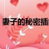 妻子的秘密插曲是誰唱的（妻子的秘密插曲）