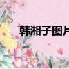 韓湘子圖片（關于韓湘子圖片的簡介）