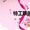 特工聯盟（關于特工聯盟的簡介）