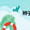 辮子（關于辮子的簡介）