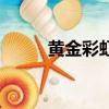 黃金彩虹（關于黃金彩虹的簡介）