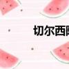 切爾西陣容2022（切爾西陣容）