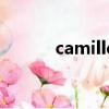 camille（關于camille的簡介）