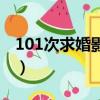 101次求婚影評（關于101次求婚影評的簡介）