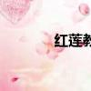 紅蓮教皇是誰的（紅蓮教皇）