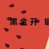 黒 金 開   鍵（關于黒 金 開   鍵的簡介）