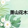 蕭山花木城苗木品種（蕭山花木網）
