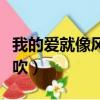 我的愛就像風沙吹是什么歌（我的愛就像風沙吹）