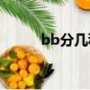 bb分幾種（看一下BB有多少種）