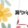 漏勺rip官網是哪個（漏勺rip）