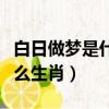 白日做夢是什么生肖什么動物（白日做夢是什么生肖）