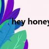 hey honey是什么意思中文（hey ho）