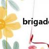 brigade（關于brigade的簡介）